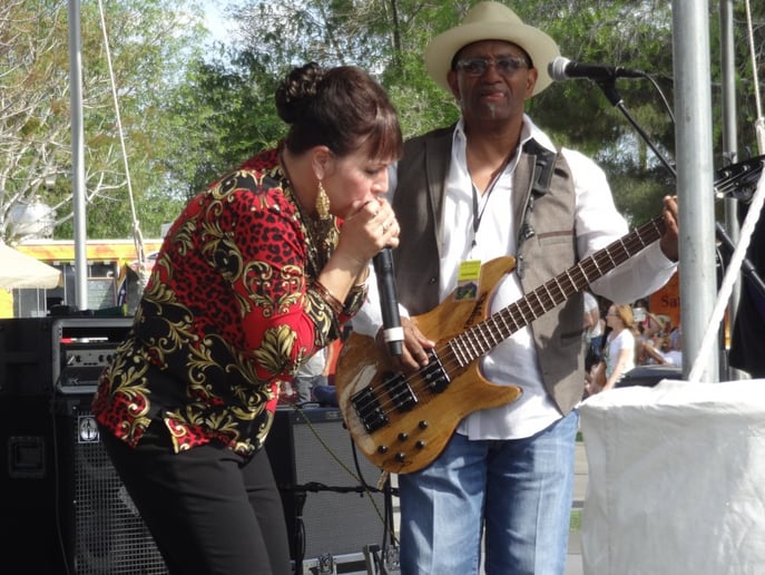 Gallery photo 5 of The Blues Review Band