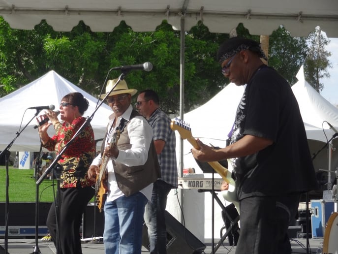Gallery photo 6 of The Blues Review Band