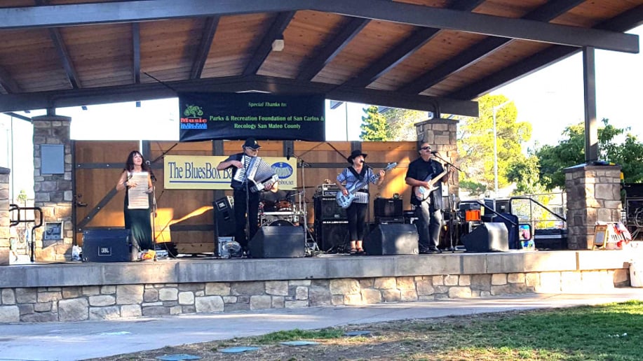 Gallery photo 4 of The BluesBox Bayou Band