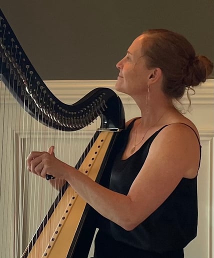 Gallery photo 11 of The Boston HarpBeat