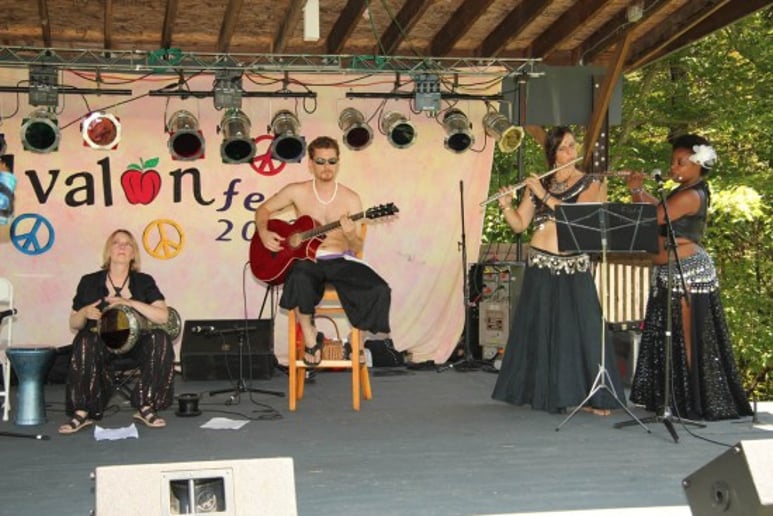 Gallery photo 3 of The Brinjal Band