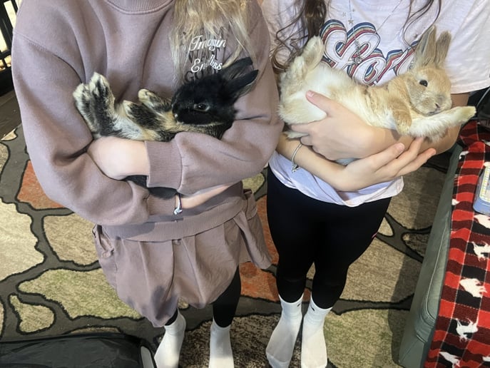 Gallery photo 9 of The Bunny Experience