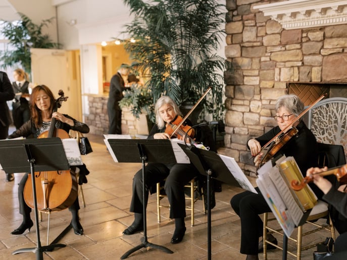 Gallery photo 10 of The Camarota String Quartet