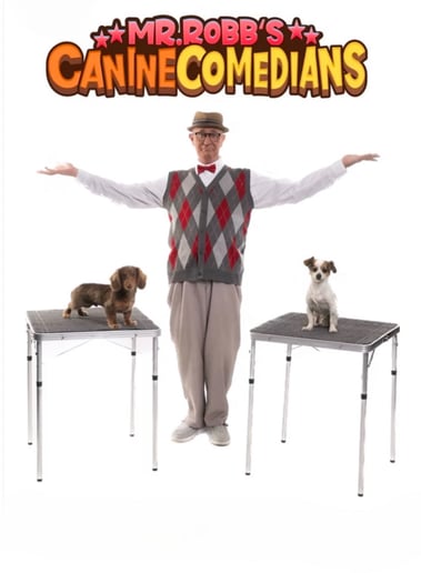 Gallery photo 1 of The Canine Comedians