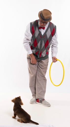Gallery photo 4 of The Canine Comedians