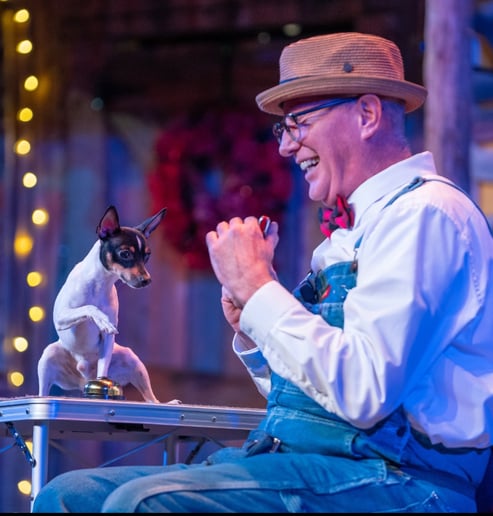 Gallery photo 6 of The Canine Comedians