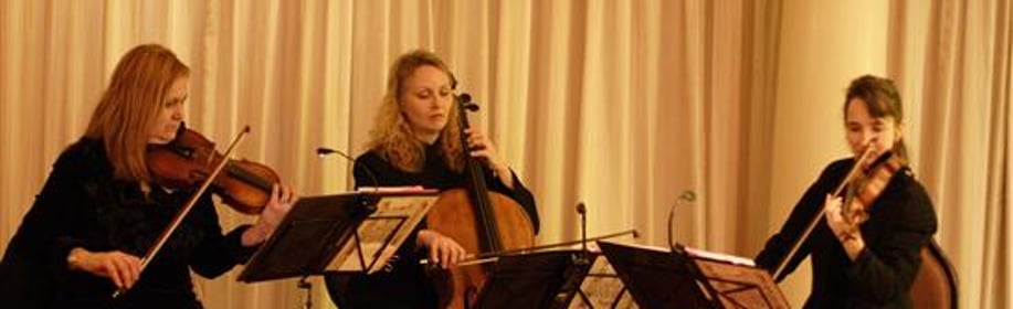 Gallery photo 4 of The Capriccio Ensemble