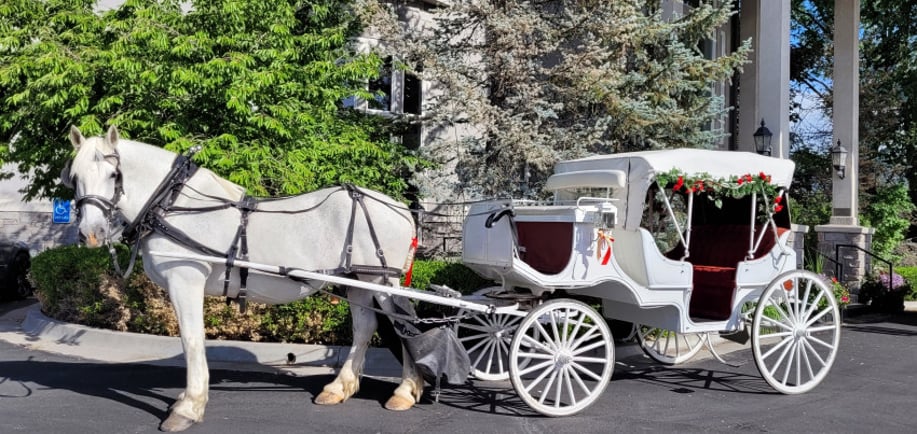 Gallery photo 1 of The Carriage Establishment