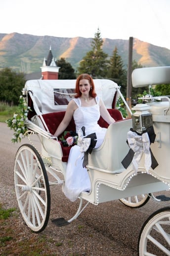 Gallery photo 4 of The Carriage Establishment