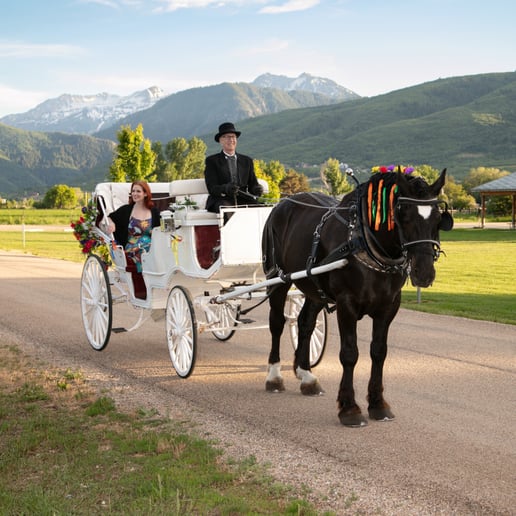 Gallery photo 7 of The Carriage Establishment