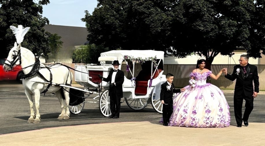 Gallery photo 6 of The Carriage Establishment