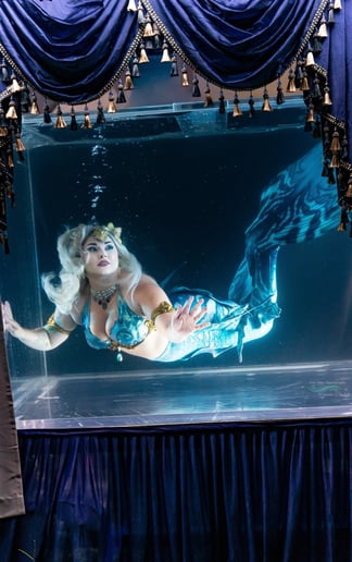 Gallery photo 1 of The Caspian Mermaid