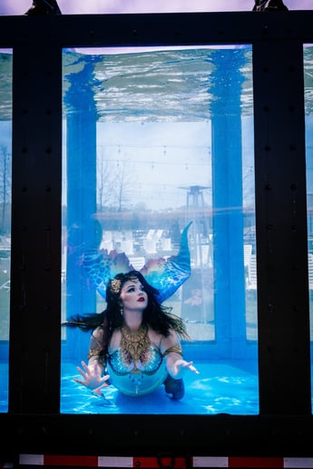 Gallery photo 3 of The Caspian Mermaid