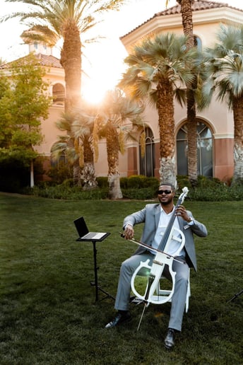 Gallery photo 1 of The Cello Guy