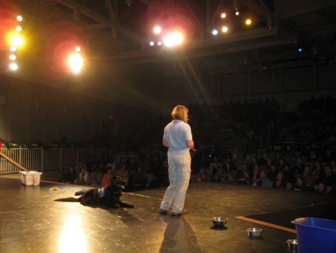 Gallery photo 5 of "The Champion-Builder"