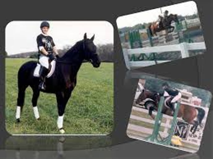 Gallery photo 2 of "The Champion-Builder"