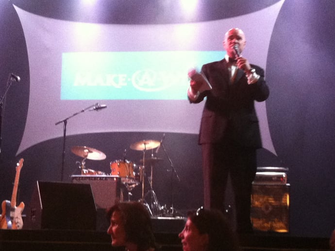 Gallery photo 6 of The Charity Auctioneer