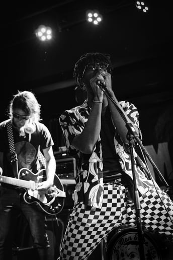 Gallery photo 9 of The Checkerboards