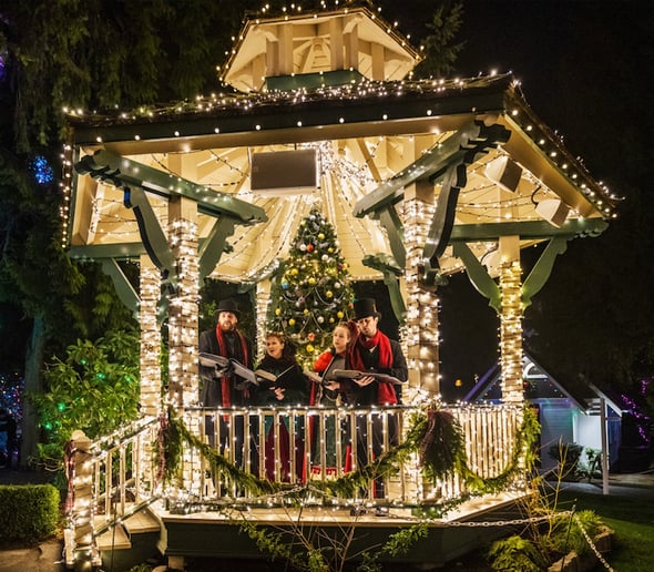Gallery photo 3 of The Christmas Revelers