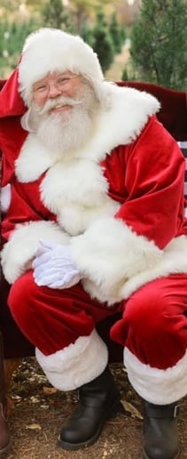 Gallery photo 11 of The Christmas Village Santa