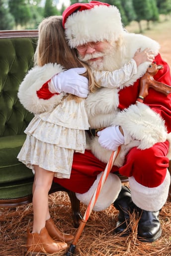 Gallery photo 15 of The Christmas Village Santa