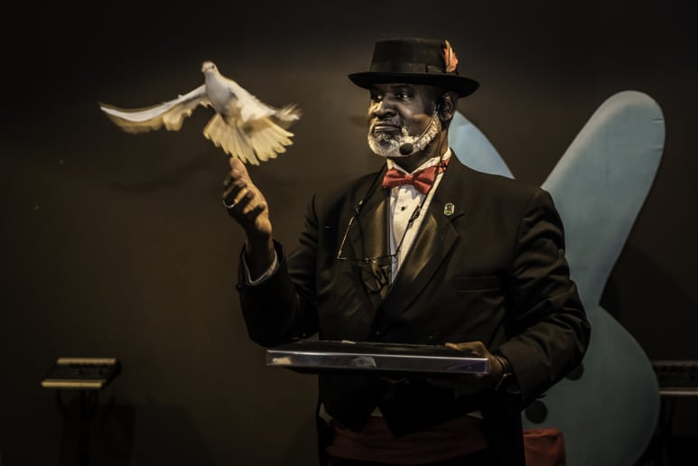 Gallery photo 4 of The Classic Magic of Karl Washington