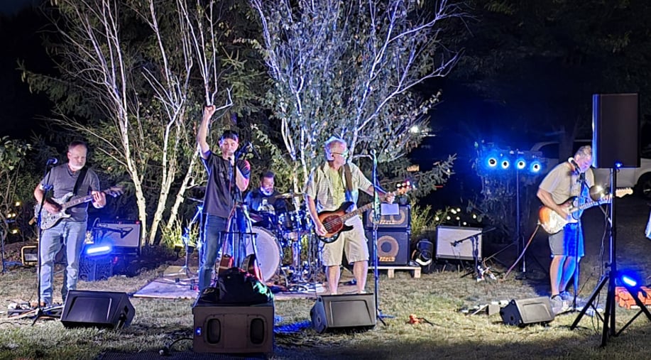 Gallery photo 2 of The Collins Bros. Band