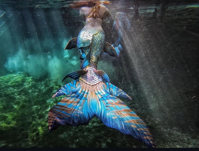 Gallery photo 5 of The Connecticut Mermaid