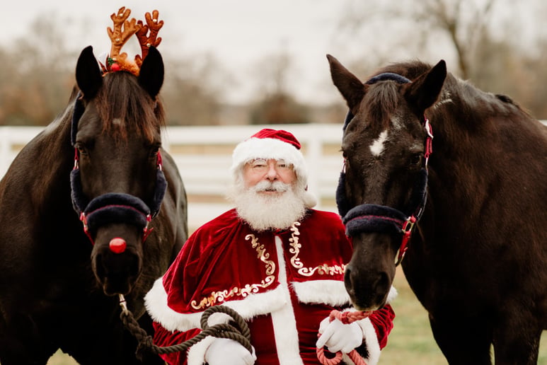 Gallery photo 6 of The Santa Cowboy