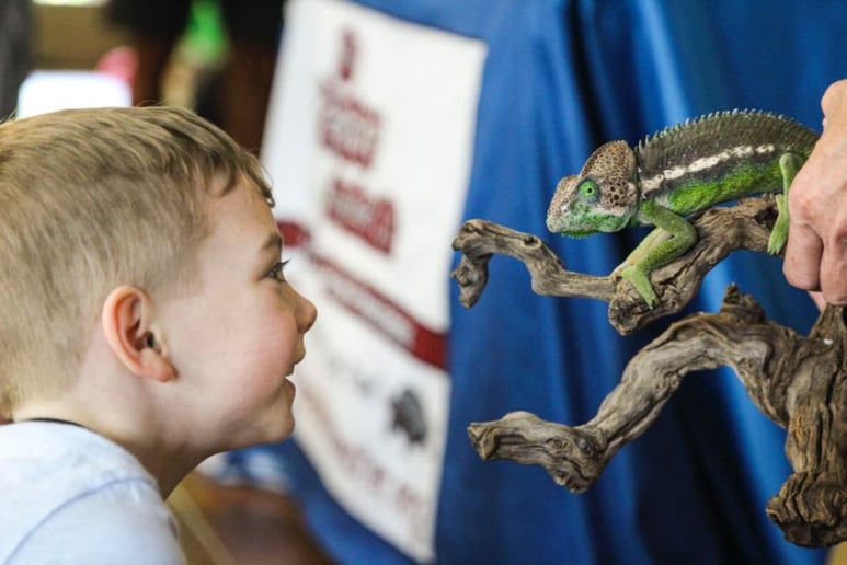 Gallery photo 3 of The Creature Teacher of Tyler/Longview