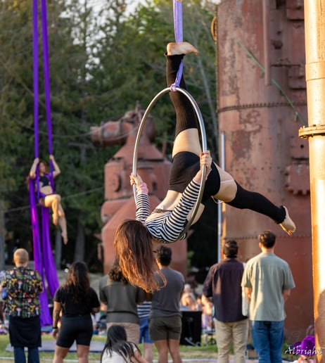 Gallery photo 6 of The Dancing Juggler