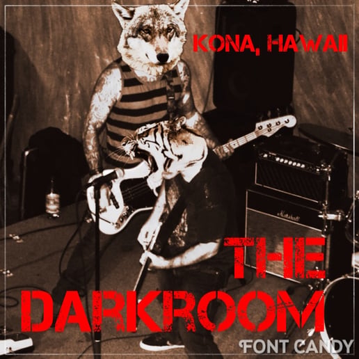 Gallery photo 3 of The Darkroom