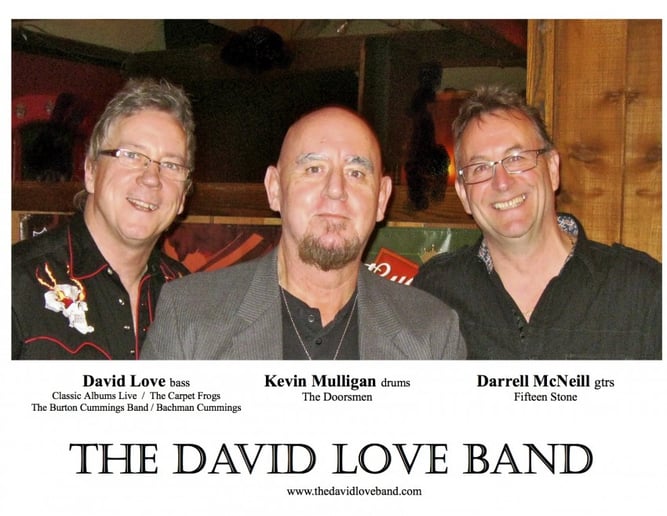 Gallery photo 5 of The David Love Band