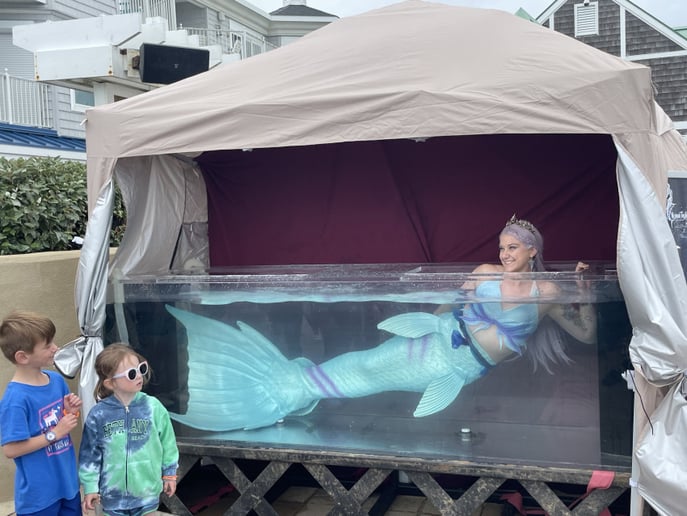 Gallery photo 2 of Appalachian Mermaid Society