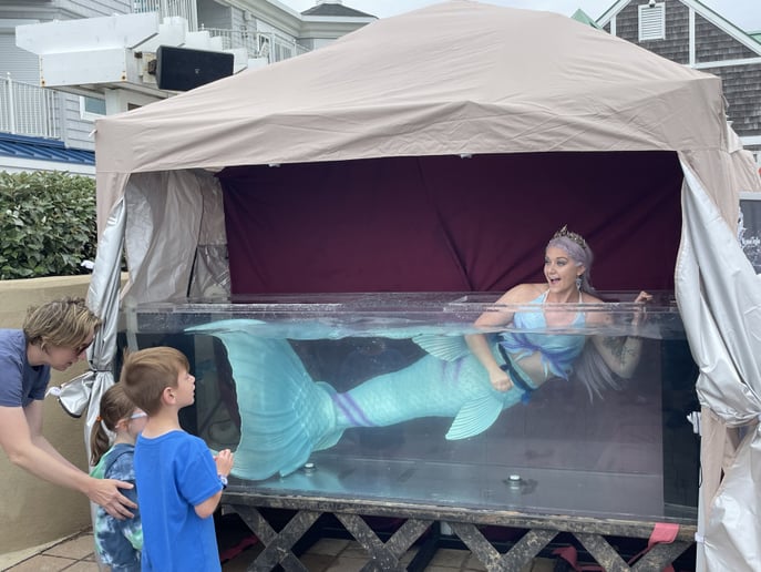 Gallery photo 4 of Appalachian Mermaid Society