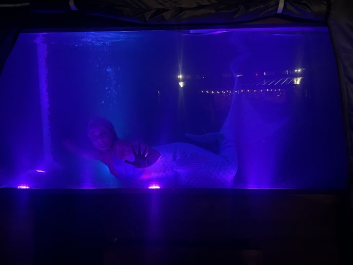 Gallery photo 11 of Appalachian Mermaid Society