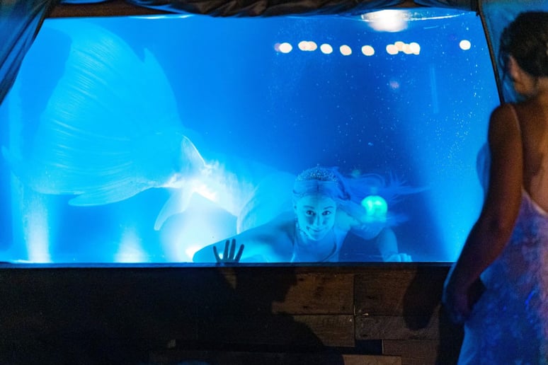 Gallery photo 12 of Appalachian Mermaid Society