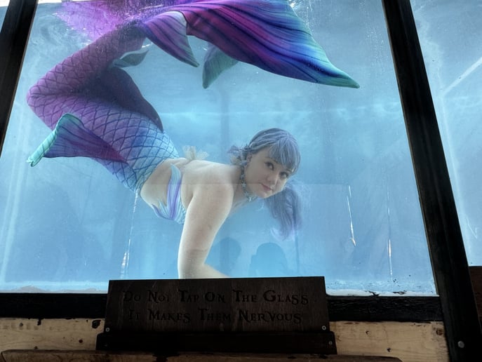 Gallery photo 13 of Appalachian Mermaid Society