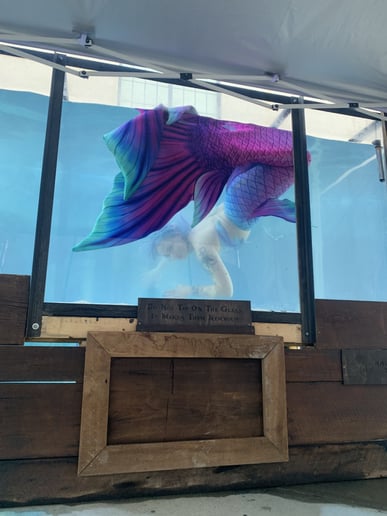 Gallery photo 14 of Appalachian Mermaid Society