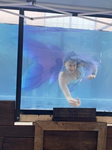 Gallery photo 15 of Appalachian Mermaid Society
