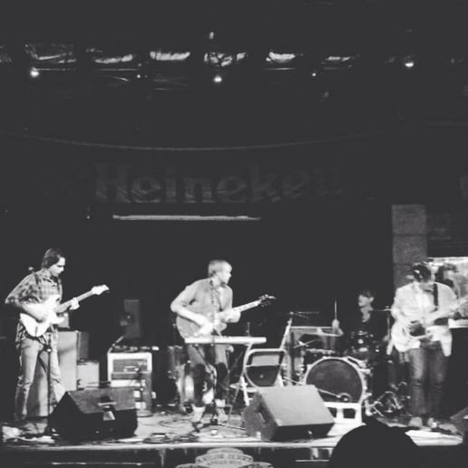Gallery photo 6 of The Delta Troubadours