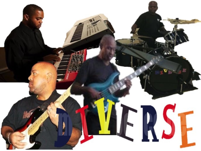 Gallery photo 3 of The Diverse Band
