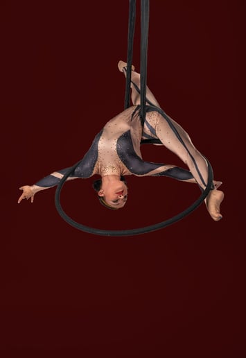 Gallery photo 10 of Aerial Jordan
