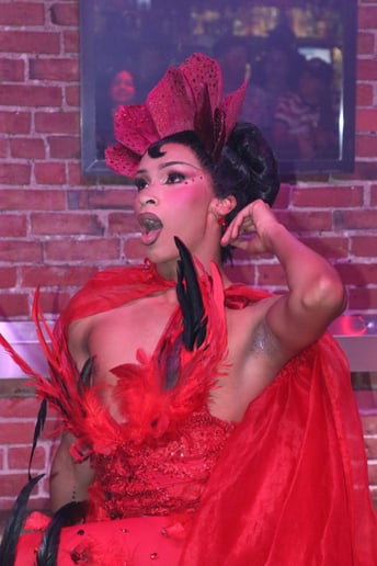 Gallery photo 8 of The Drag variety show experience
