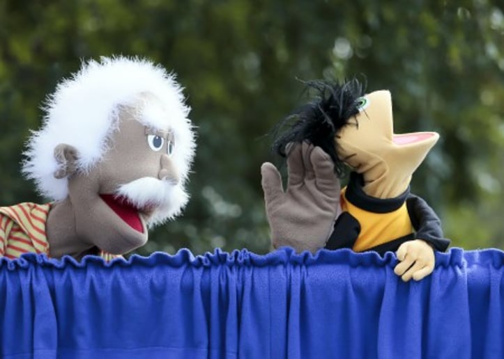 Gallery photo 6 of "The Ebony Sonshine Puppets"