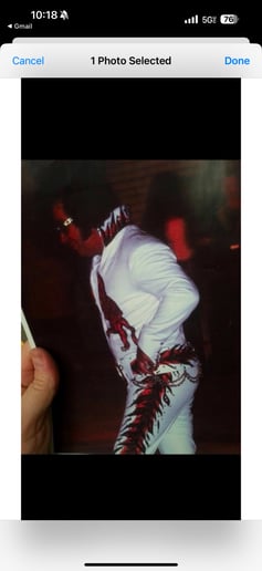 Gallery photo 16 of The Elvis Experience