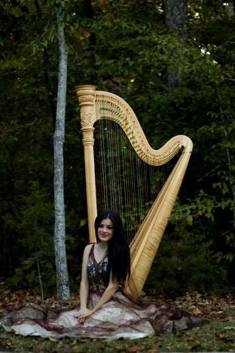 Gallery photo 5 of The Enchanted Harpist