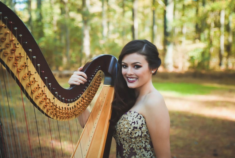 Gallery photo 6 of The Enchanted Harpist