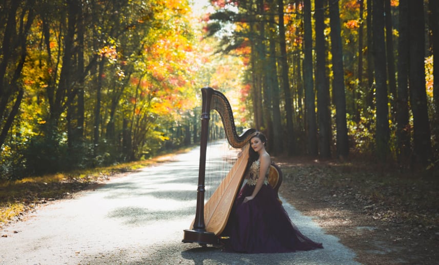 Gallery photo 1 of The Enchanted Harpist