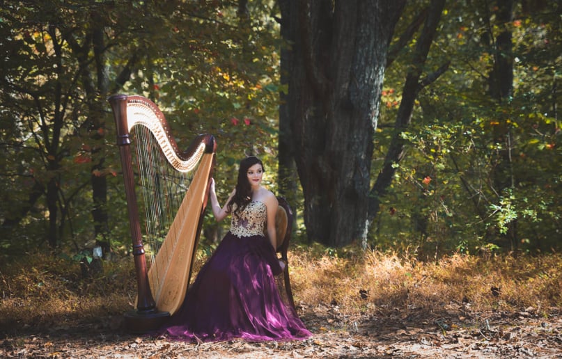 Gallery photo 7 of The Enchanted Harpist